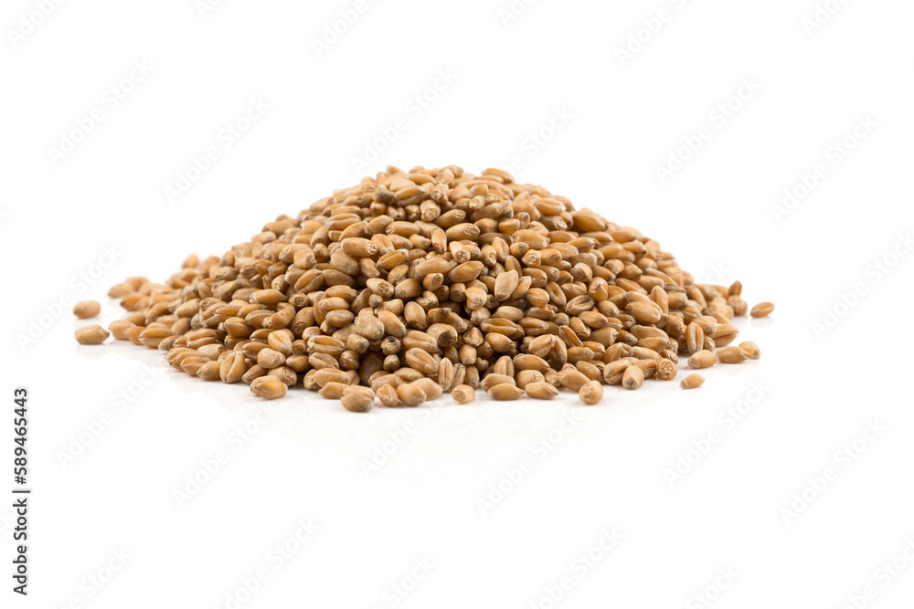 Wheat grain on white Wheat grain on white