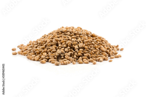 Wheat grain on white
