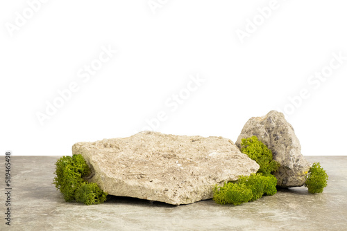 Podium embossed stone and green moss for the presentation of products  on a transparent background. Natural style	