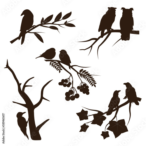 Birds on branches set. Owl, crow, sparrow, songbirds. Vector illustration