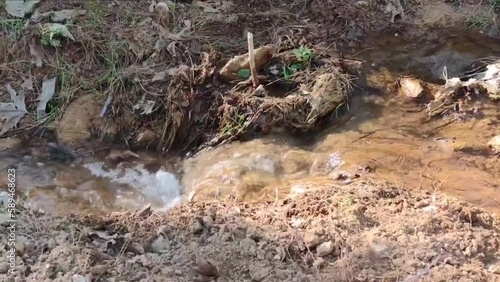 Wallpaper Mural A small river, a spring stream with clear running water flows in the forest Torontodigital.ca