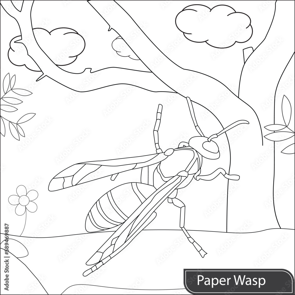 Fototapeta premium paper wasp coloring page for kids