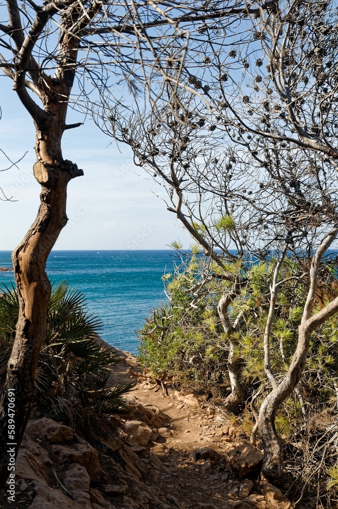 View of the sea and the coastal cliff