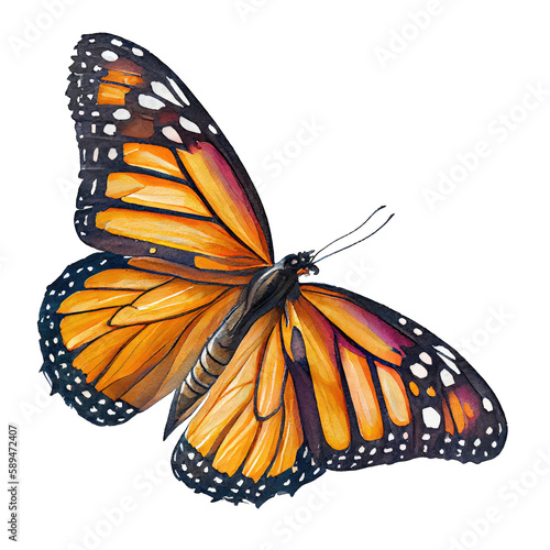 Monarch  buterfly. Watercolor with transparent background. Generative AI