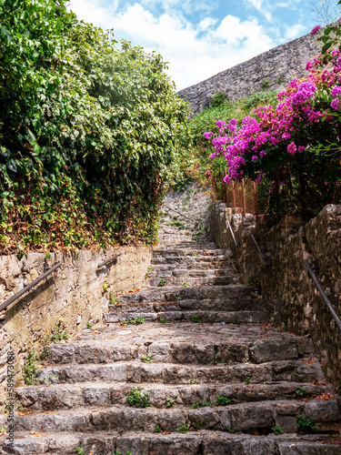 Old stone blocks steps of stairway up with stone walls and violet flowers photo