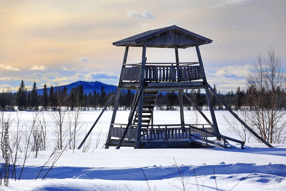 Lookout tower in northern Swedish winter during with bright sunlight Lookout tower in northern Swedish winter during with bright sunlight