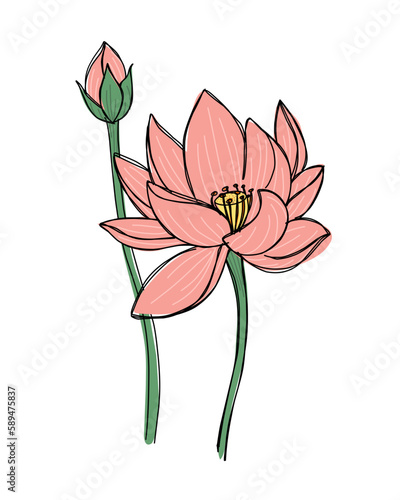 lotus art drawn
