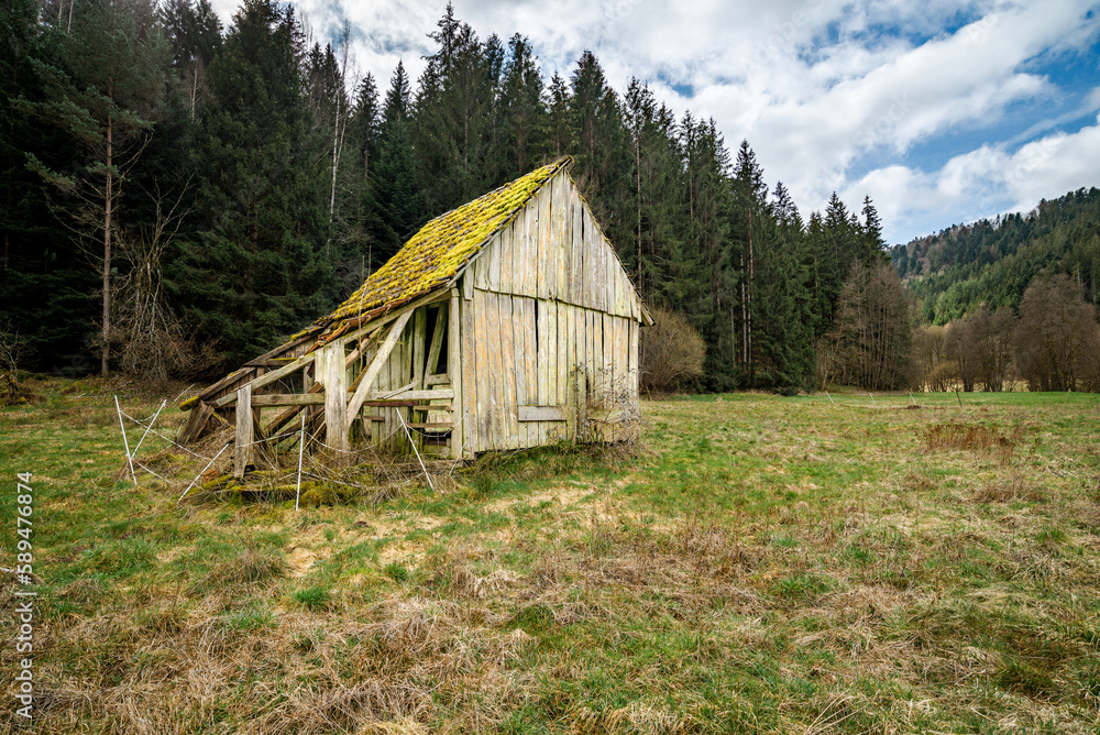 Old hay shack on a meadow with forest and hills in the background