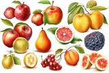 Berries and fruits vector illustration. Apple, orange,  grape, grapefruit, lemon, strawberry and pear set on white background