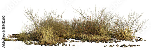 Fotografiet dry plants and pebbles, desert scene cut-out, isolated on transparent background