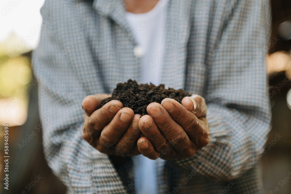 Oldman farmer holding soil in cupped hands. Oldman farmer holding soil in cupped hands.