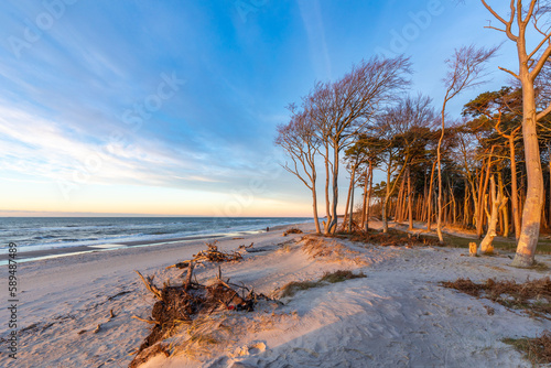 Darßer Weststrand. photo