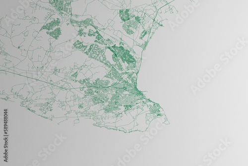 Map of the streets of Port Elizabeth (South Africa) made with green lines on white paper. 3d render, illustration