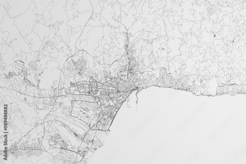 Map of the streets of Malaga (Spain) on white background. 3d render, illustration