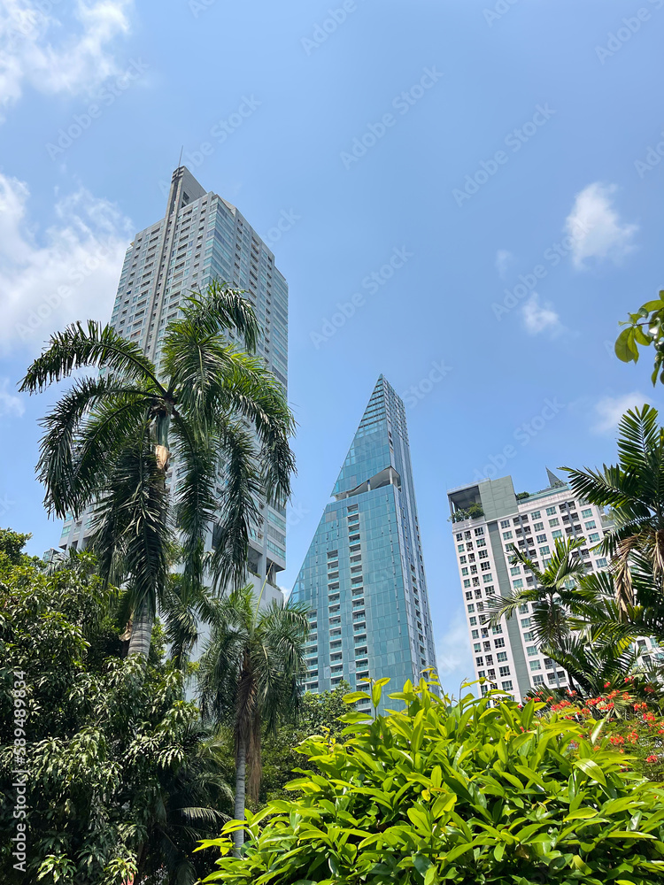 Green spaces, palm trees and bushes on a backdrop of high rises modern buildings, contemporary urban skyscrapers. Cityscape of Bangkok city. Capital of Thailand. Krung Thep Maha Nakhon. กรุงเทพมหานคร 