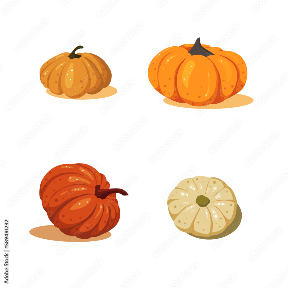 Set of round pumpkins in color on white background in cartoon style. Autumn vegetables concept of farm healthy food