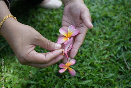 Woman's hand is holding a beautiful pink flower