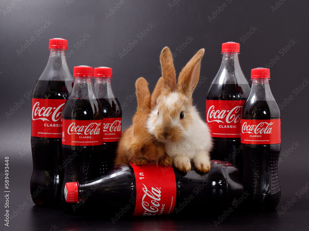 Gomel, BELARUS - April 6, 2023: Rabbit symbol of the year and Coca Cola ...
