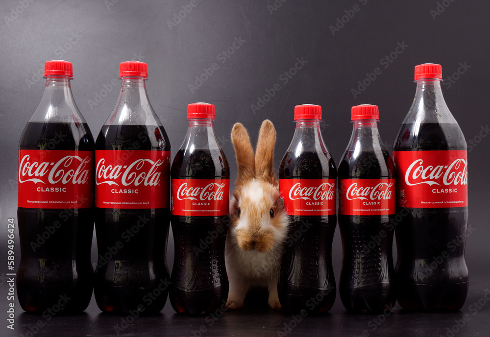 Gomel, BELARUS - April 6, 2023: Rabbit symbol of the year and Coca Cola ...