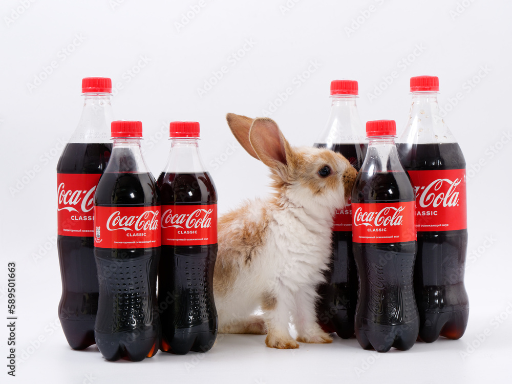 Gomel, BELARUS - April 6, 2023: Rabbit symbol of the year and Coca Cola ...