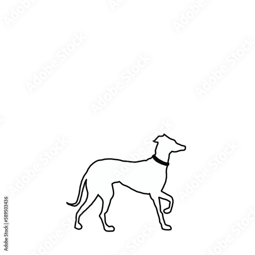 Minimal Dog Greyhound