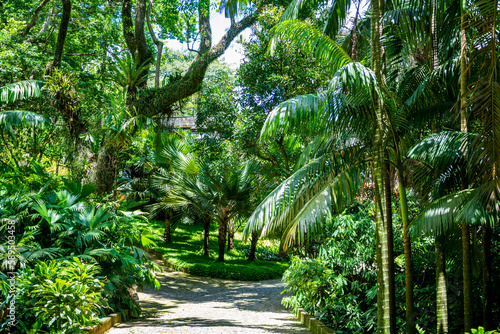 Sitio Roberto Burle Marx site, a landscape garden, UNESCO World Heritage Site, Rio de Janeiro, Brazil photo