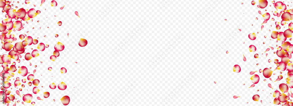 Obraz premium Beautiful Rose Tender Vector Panoramic