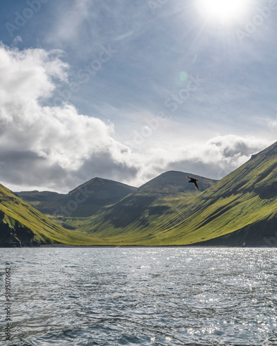 View of a sunlit Unalaska Island coastline, Unalaska, Alaska, United States.