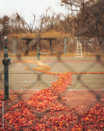 View of a tennis court during koyo season, Mount Haruna, Gunma, Japan. photo