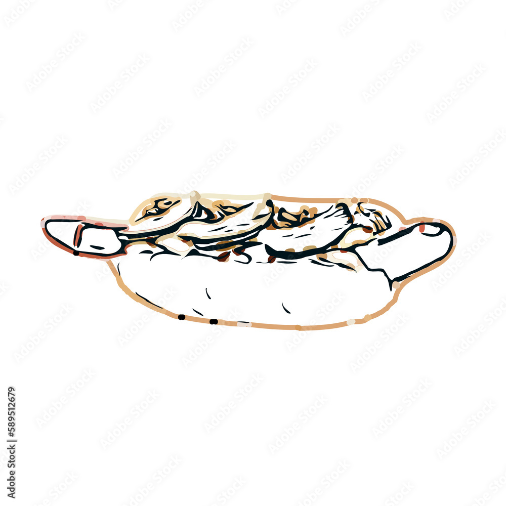Hotdog color sketch with transparent background Hotdog color sketch with transparent background