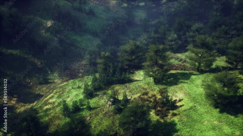 Carpathian mountains moody weather landscape Carpathian mountains moody weather landscape