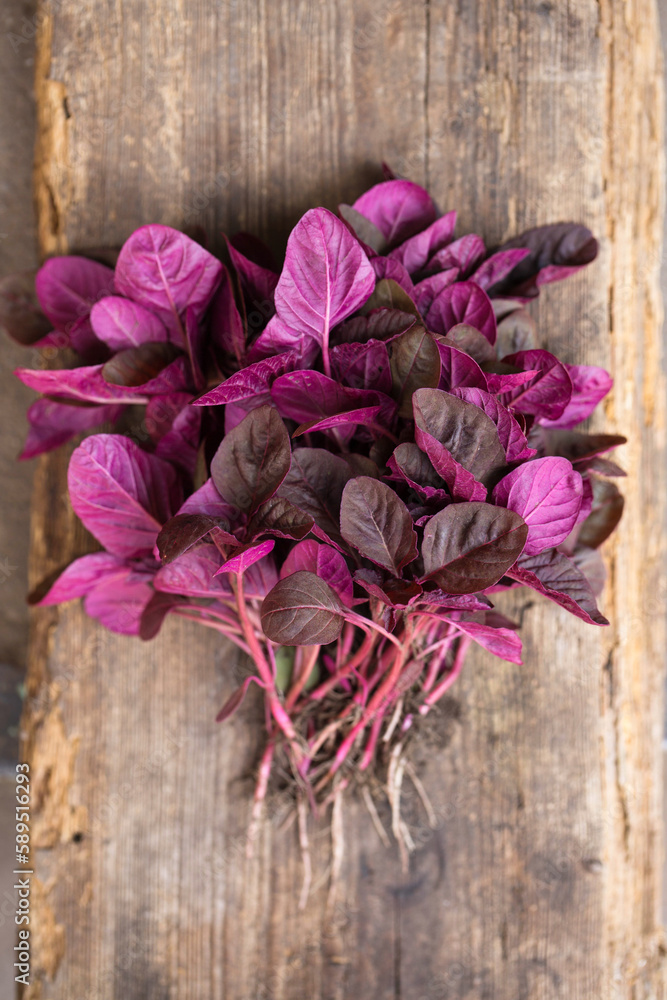 A bunch of fresh purple amaranth