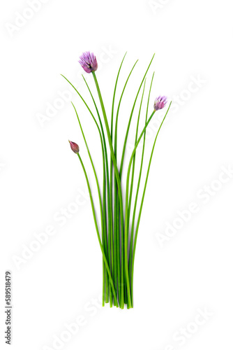 Fresh organic green chives  raw aromatic garden herbs  with their purple flowers Isolated against a transparent background.