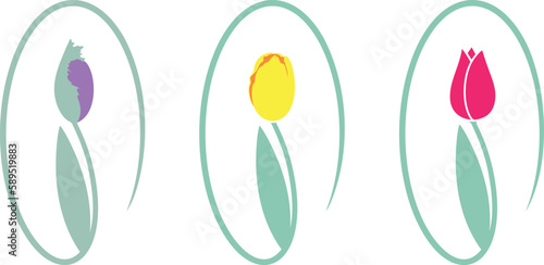 Tulip logo. Isolated tulip on white background