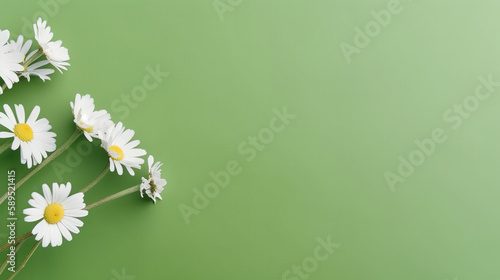 Chamomile background. Illustration AI Generative.