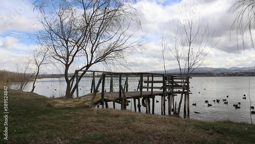 wooden pier over lake photo