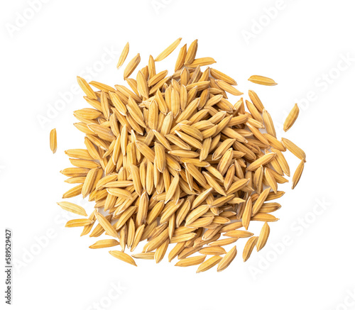 paddy rice isolated on on transparent png