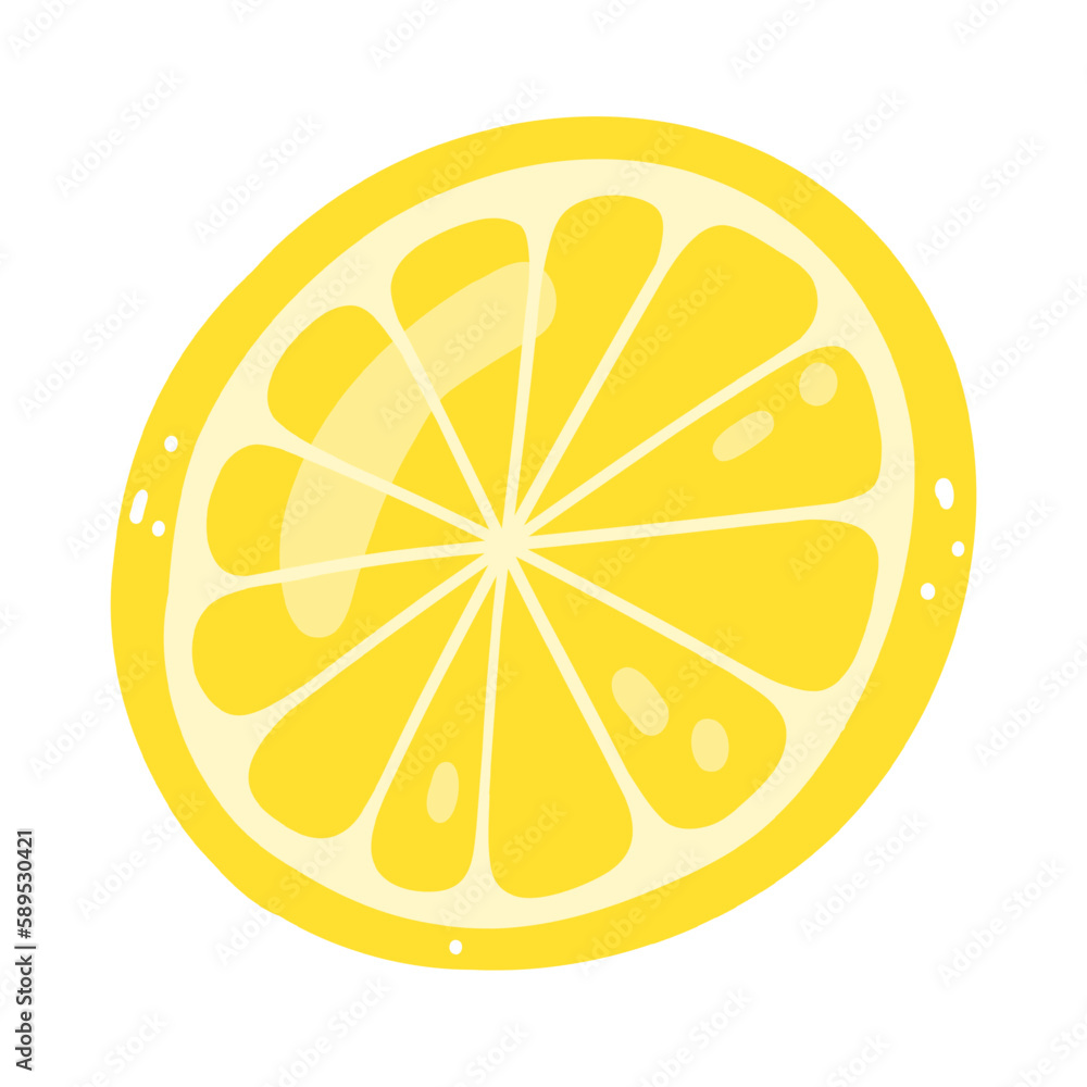 Hand drawn lemon slice. Vector illustration of cut tasty citrus, healthy food, summer fresh fruit Hand drawn lemon slice. Vector illustration of cut tasty citrus, healthy food, summer fresh fruit