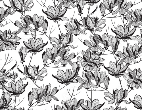 seamless lace pattern, vector illustration, magnolia flowers