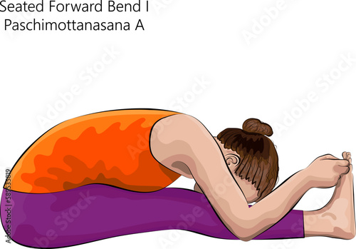Young woman practicing yoga exercise, doing Seated Forward Bend 1 pose or Intense West Stretch. Paschimottanasana A. Seated and Forward Bend. Beginner. Vector illustration isolated on white background