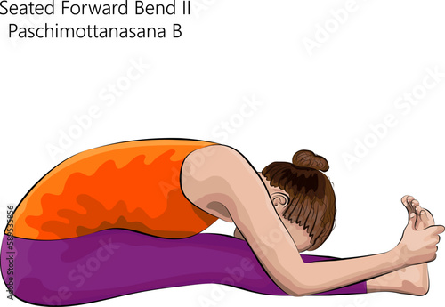 Young woman practicing yoga exercise, doing Seated Forward Bend 2 pose or Intense West Stretch. Paschimottanasana B. Seated and Forward Bend. Beginner. Vector illustration isolated on white background