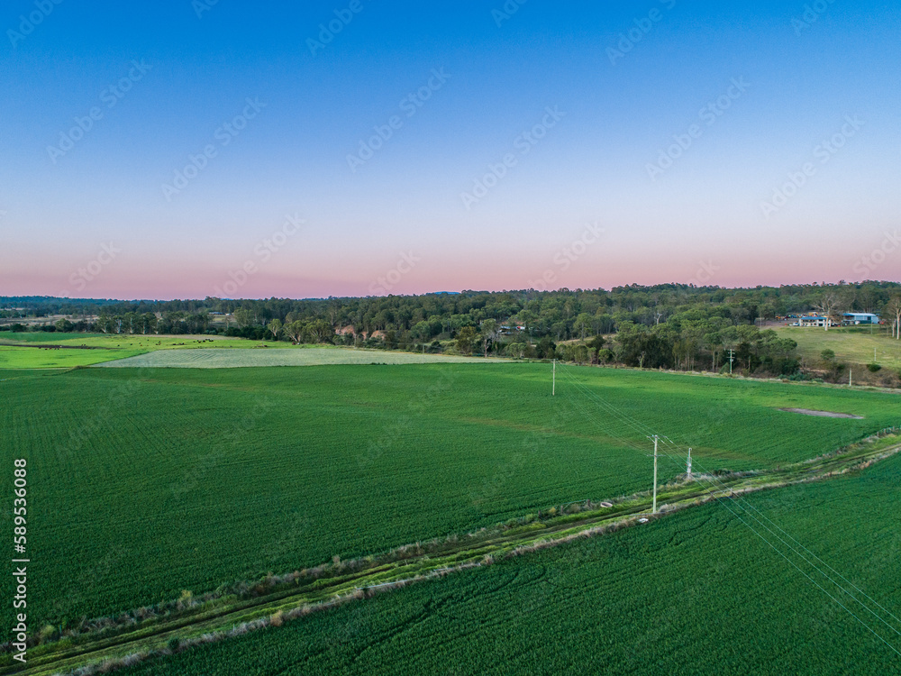 Aerial view of pastel dusk sky above lush green lucerne crop paddock Aerial view of pastel dusk sky above lush green lucerne crop paddock