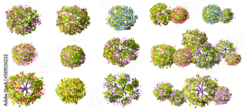 Vector watercolor of blooming tree top view isolated on white background for landscape plan and architecture drawing, elements for environment and garden,botanical elements ,blooming flowers in spring