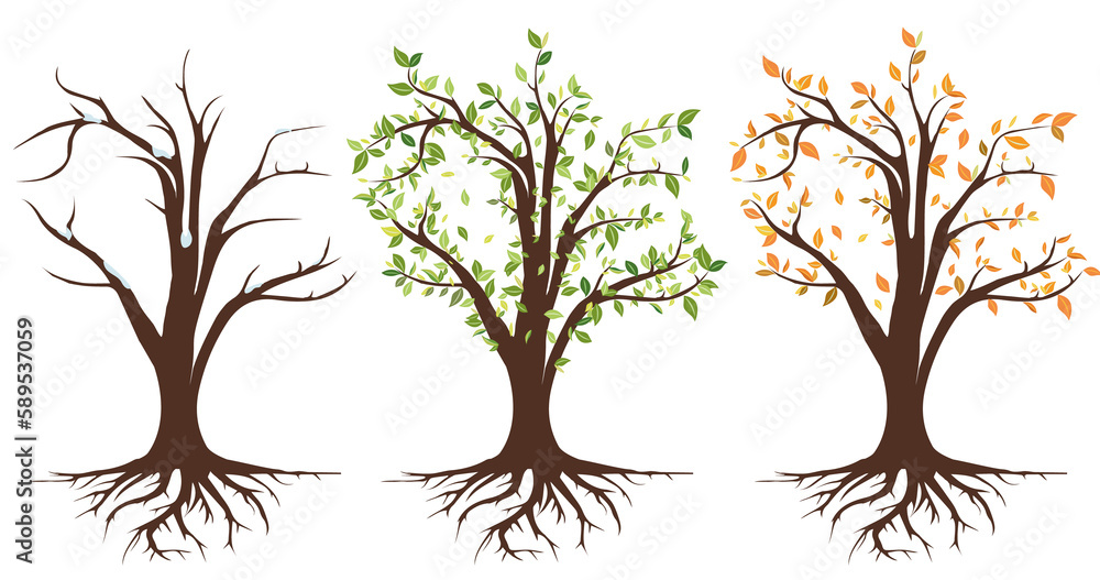 Fototapeta premium Seasons, weather, spring, summer, autumn, winter, trees, precipitation illustration