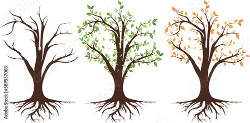 Set of trees with leaves changing seasons November vector illustration