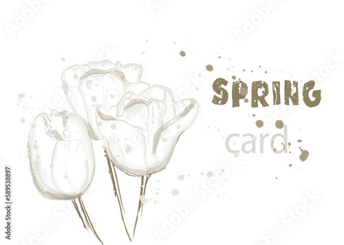 Tulips Spring card vector watercolor blossom white colors