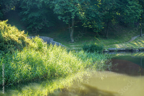 Fototapeta Naklejka Na Ścianę i Meble -  Morning landscape in the park near the lake