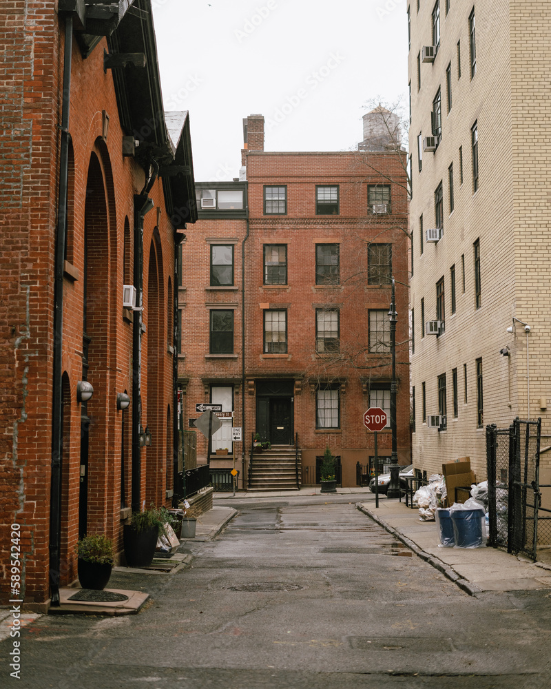 Fototapeta premium Houses in Brooklyn Heights, Brooklyn, New York