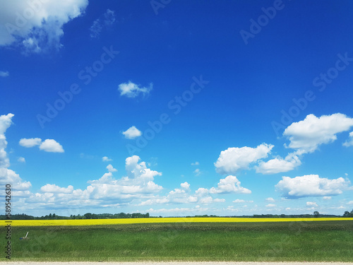 Blue sky and puffy white clouds over a field. © John