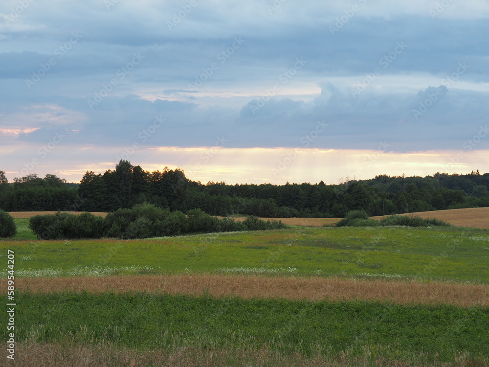 Beautiful green fields in Poland